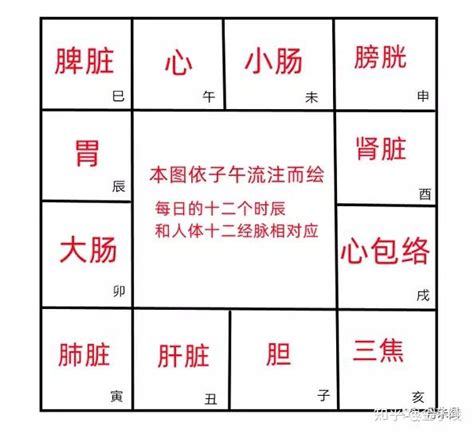 紫微斗數 身體部位|紫微斗数对应身体部位